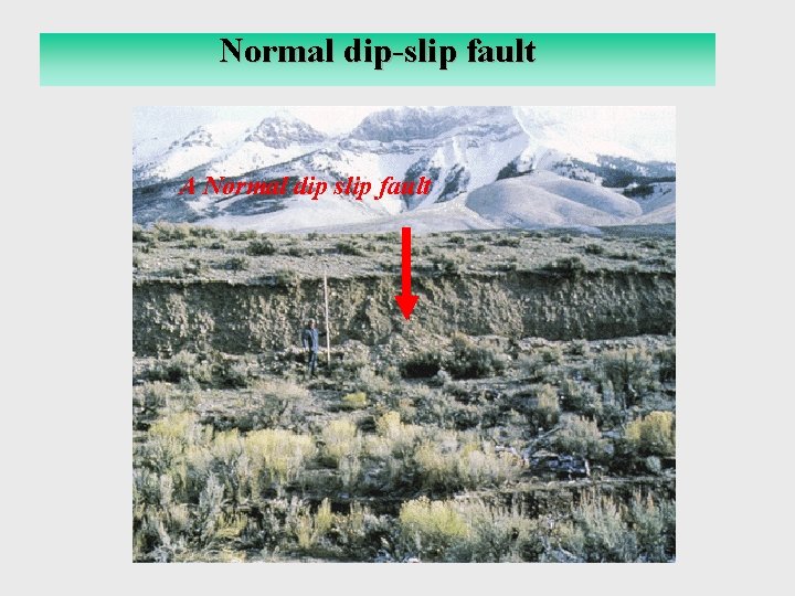 Normal Dip-slip fault Normal dip-slip fault A Normal dip slip fault 