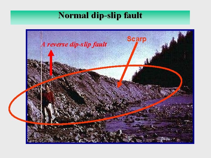 Reverse Dip-Slip Fault Normal dip-slip fault A reverse dip-slip fault Scarp 