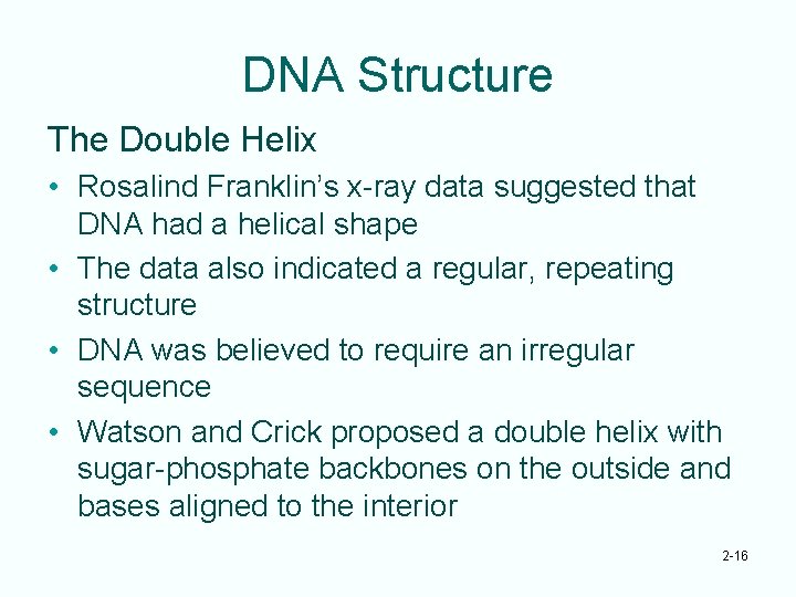 DNA Structure The Double Helix • Rosalind Franklin’s x-ray data suggested that DNA had