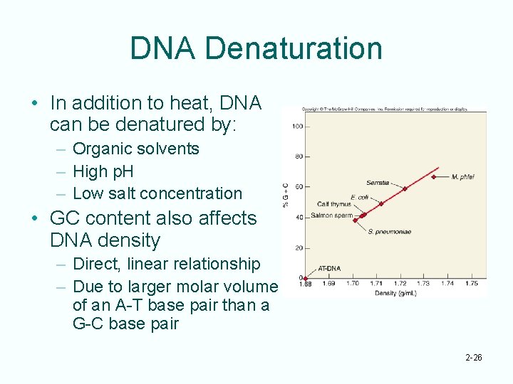 DNA Denaturation • In addition to heat, DNA can be denatured by: – Organic
