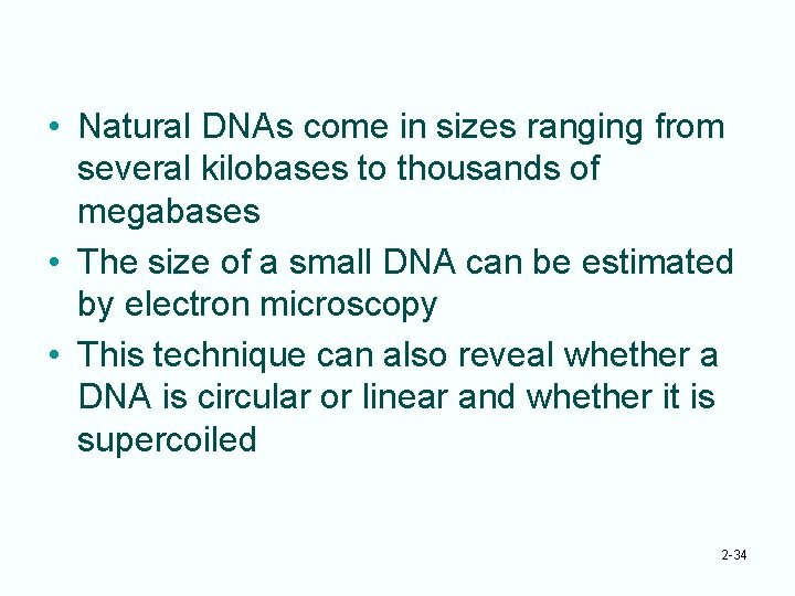  • Natural DNAs come in sizes ranging from several kilobases to thousands of