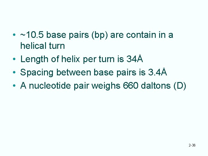 • ~10. 5 base pairs (bp) are contain in a helical turn •
