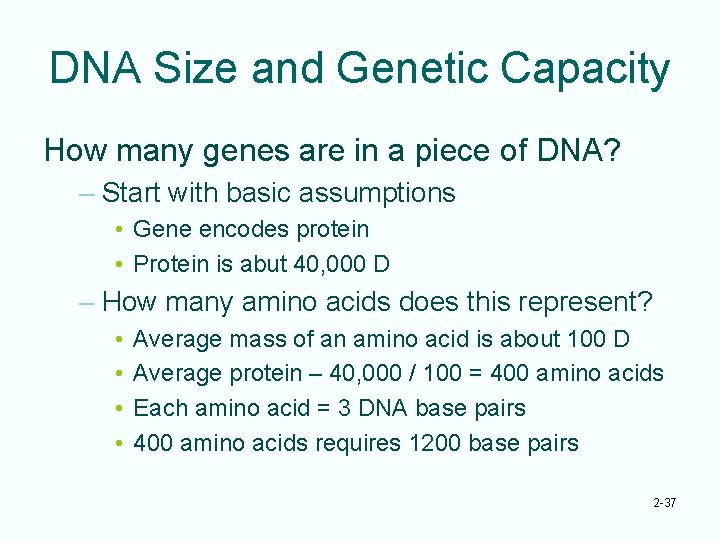DNA Size and Genetic Capacity How many genes are in a piece of DNA?