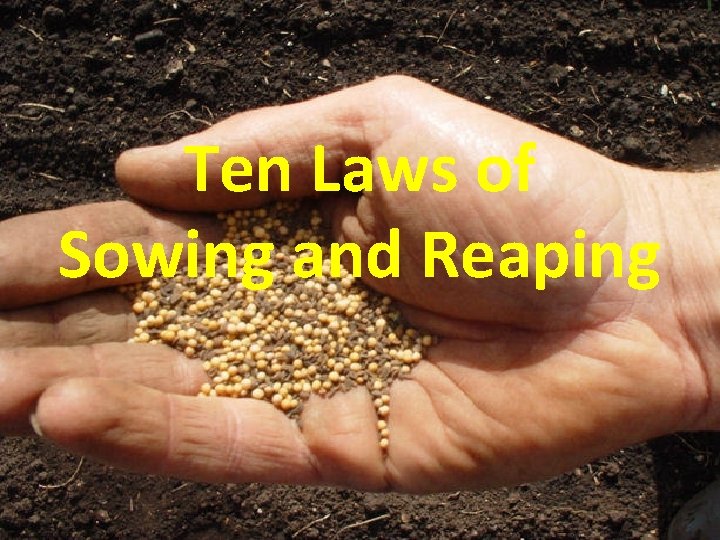 Ten Laws of Sowing and Reaping 