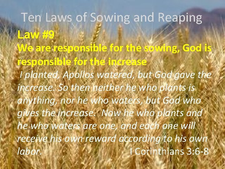 Ten Laws of Sowing and Reaping Law #9 We are responsible for the sowing,