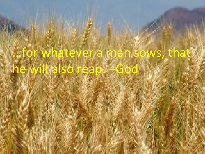 …for whatever a man sows, that he will also reap. –God 