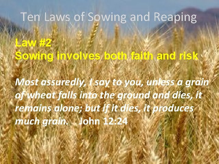 Ten Laws of Sowing and Reaping Law #2 Sowing involves both faith and risk