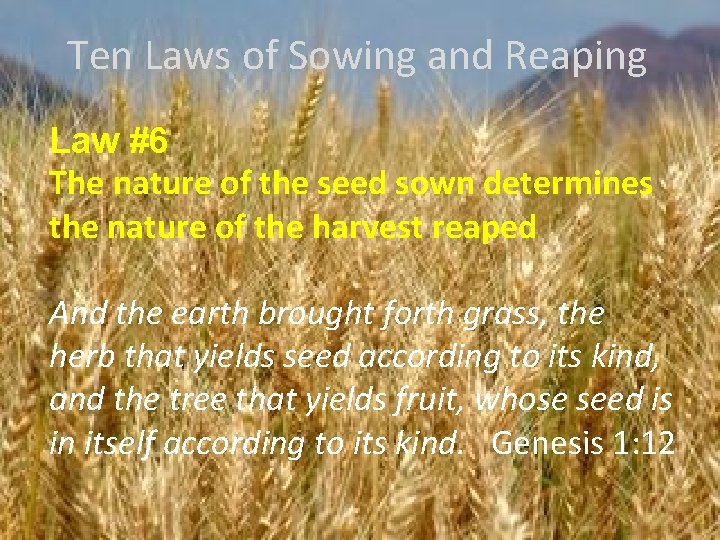 Ten Laws of Sowing and Reaping Law #6 The nature of the seed sown