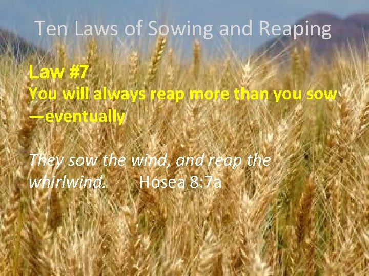 Ten Laws of Sowing and Reaping Law #7 You will always reap more than