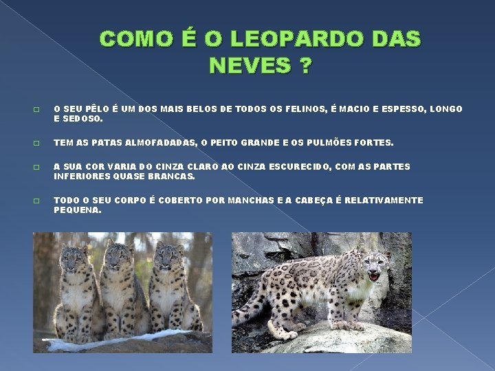 COMO É O LEOPARDO DAS NEVES ? � O SEU PÊLO É UM DOS