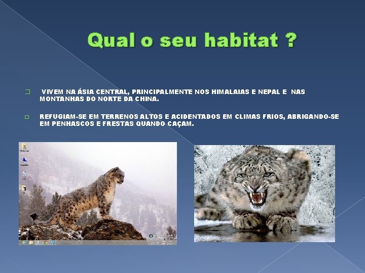 Qual o seu habitat ? � VIVEM NA ÁSIA CENTRAL, PRINCIPALMENTE NOS HIMALAIAS E