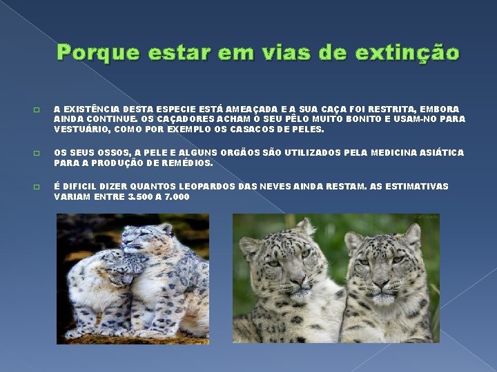 Porque estar em vias de extinção � A EXISTÊNCIA DESTA ESPECIE ESTÁ AMEAÇADA E