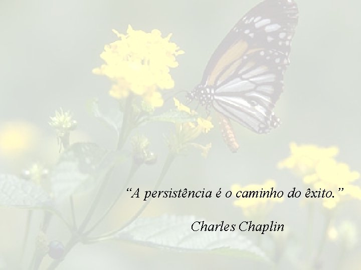 “A persistência é o caminho do êxito. ” Charles Chaplin 