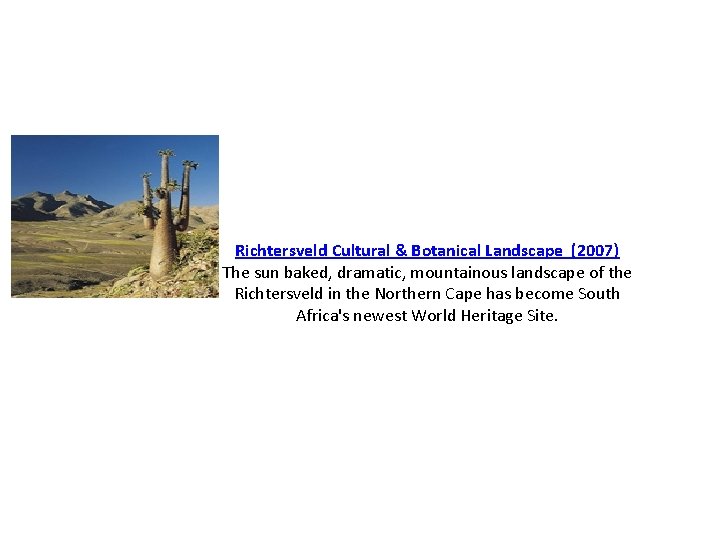 Richtersveld Cultural & Botanical Landscape (2007) The sun baked, dramatic, mountainous landscape of the