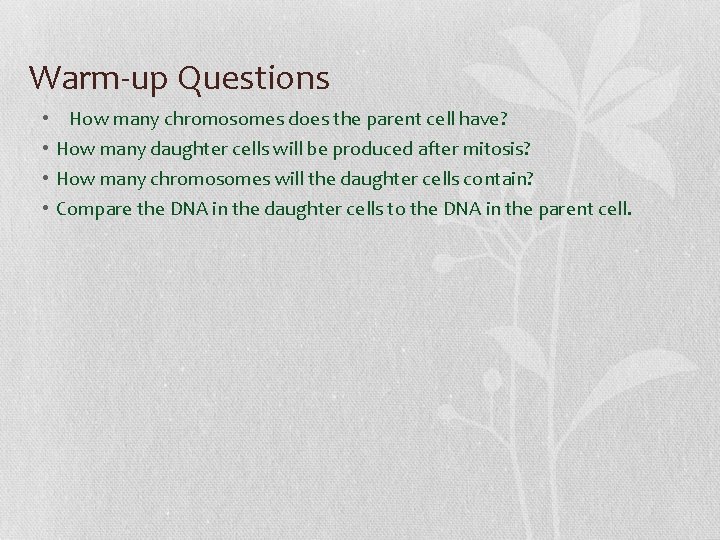 Warm-up Questions • • How many chromosomes does the parent cell have? How many