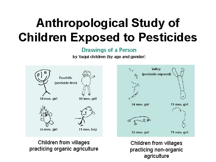 Anthropological Study of Children Exposed to Pesticides Children from villages practicing organic agriculture Children