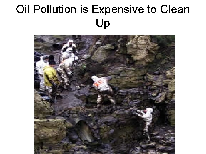 Oil Pollution is Expensive to Clean Up 