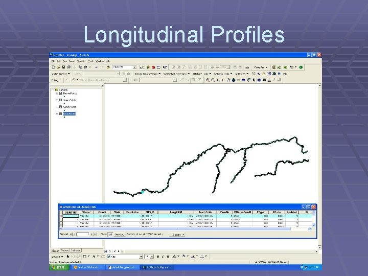 Longitudinal Profiles 