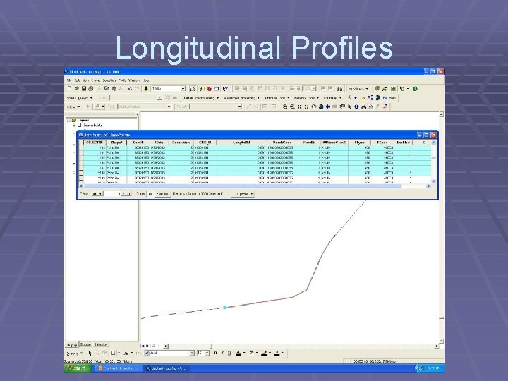 Longitudinal Profiles 