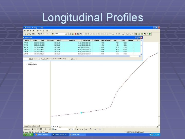 Longitudinal Profiles 