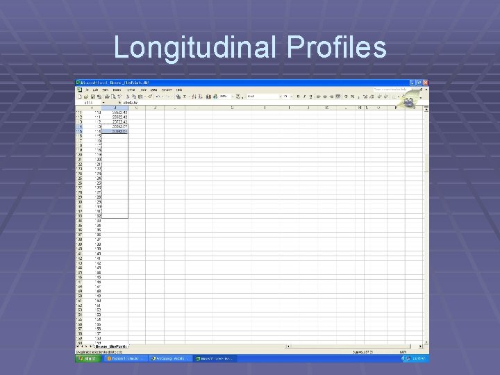 Longitudinal Profiles 