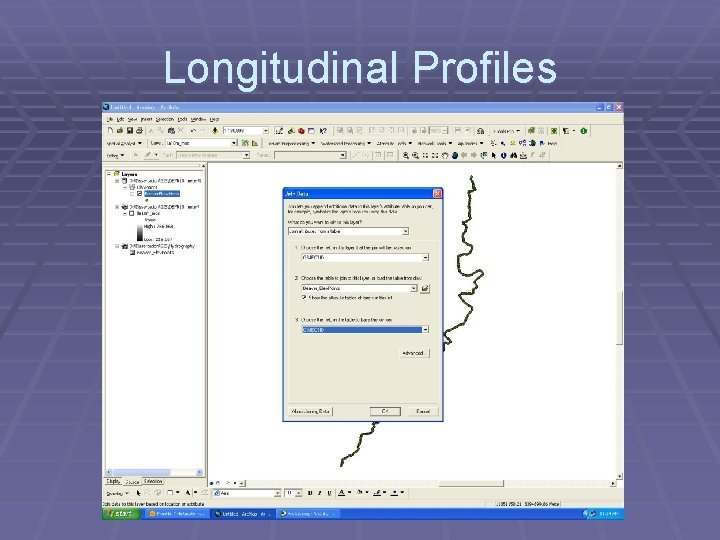 Longitudinal Profiles 