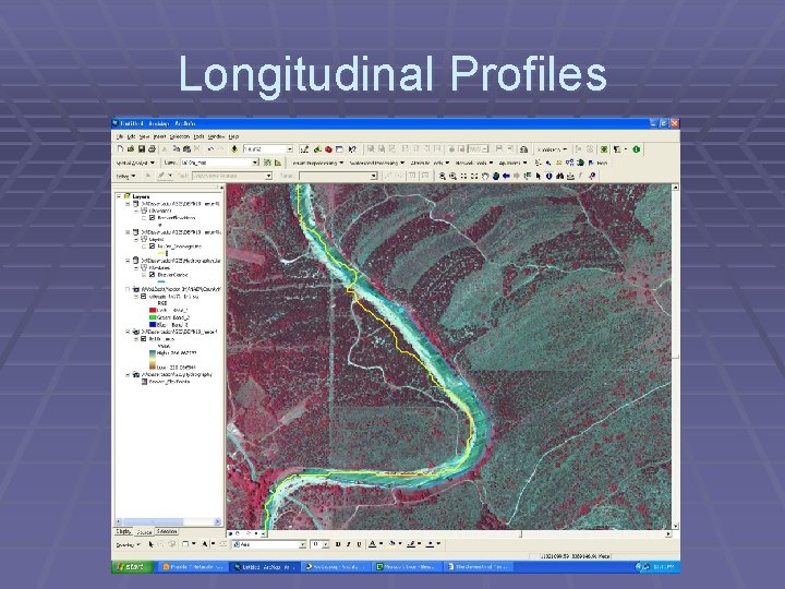 Longitudinal Profiles 