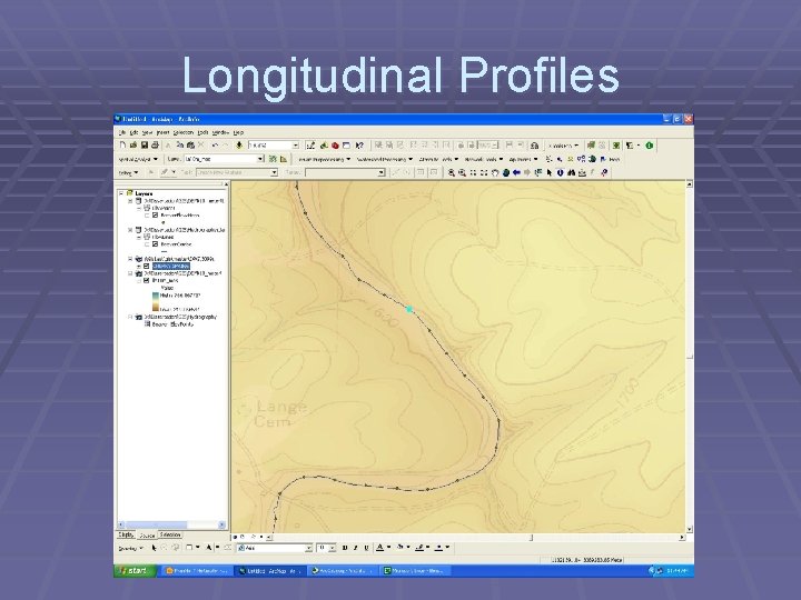 Longitudinal Profiles 