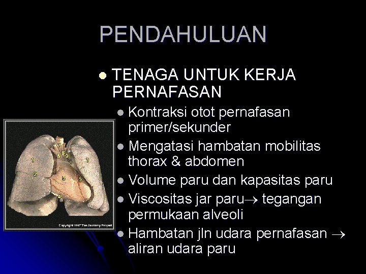 PENDAHULUAN l TENAGA UNTUK KERJA PERNAFASAN l Kontraksi otot pernafasan primer/sekunder l Mengatasi hambatan