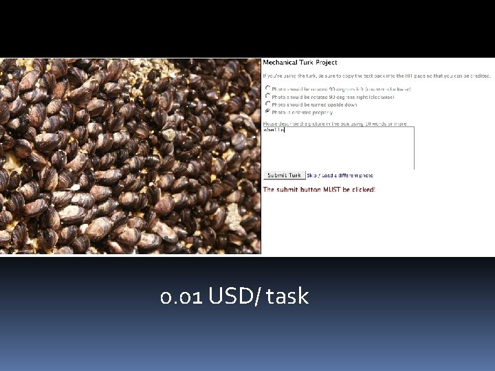 0. 01 USD/ task 0. 01 USD/ task