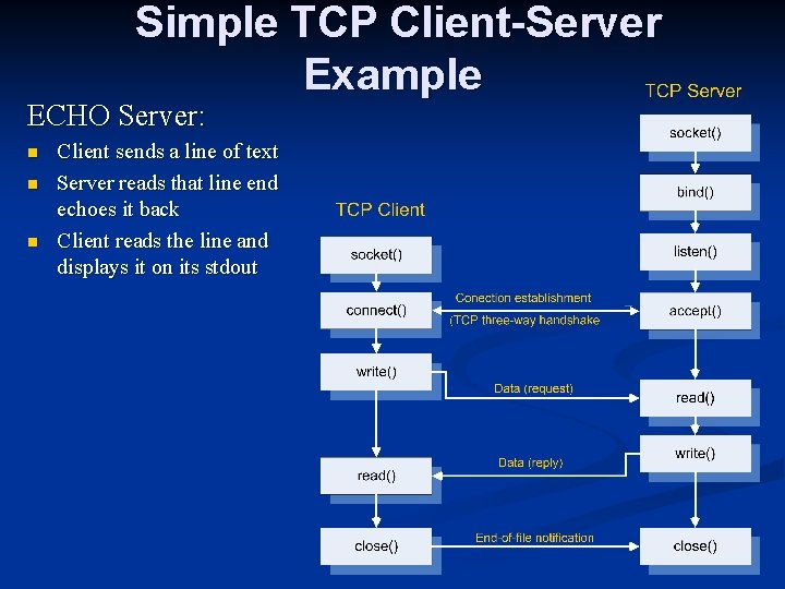 Simple TCP Client-Server Example ECHO Server: n n n Client sends a line of
