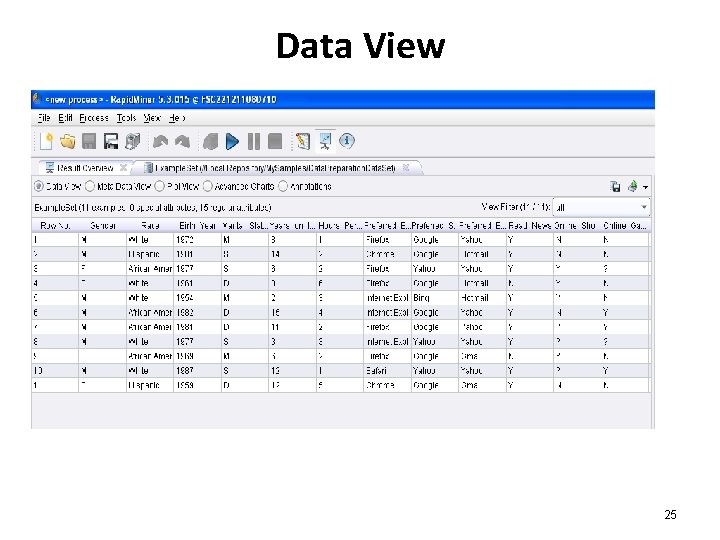 Data View 25 