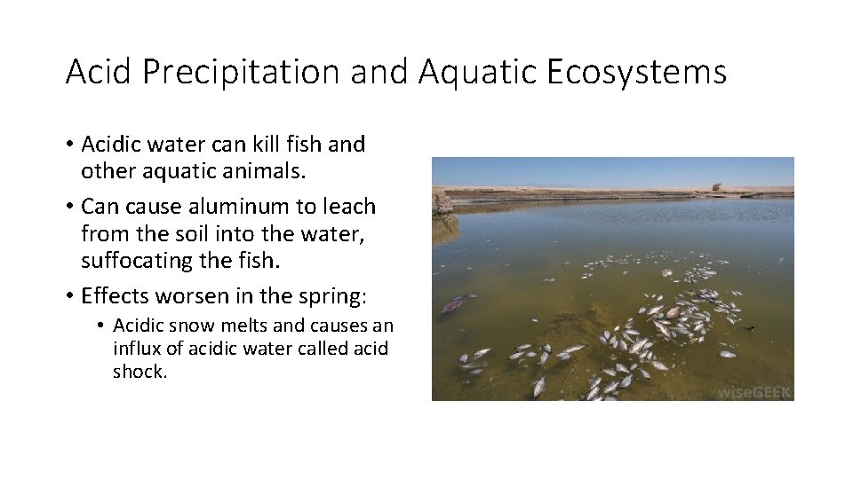 Acid Precipitation and Aquatic Ecosystems • Acidic water can kill fish and other aquatic