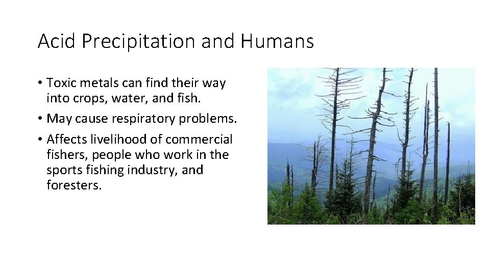 Acid Precipitation and Humans • Toxic metals can find their way into crops, water,