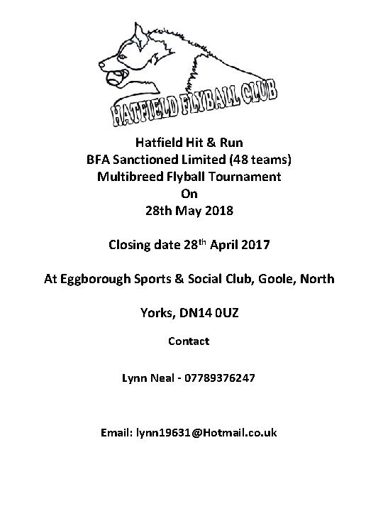 Hatfield Hit & Run BFA Sanctioned Limited (48 teams) Multibreed Flyball Tournament On 28