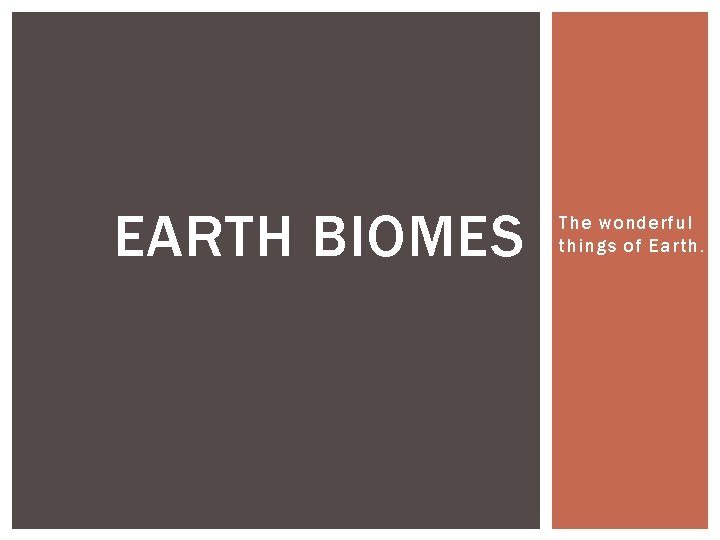EARTH BIOMES The wonderful things of Earth. 