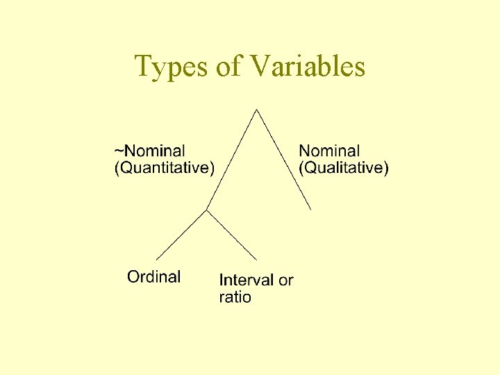 Types of Variables 