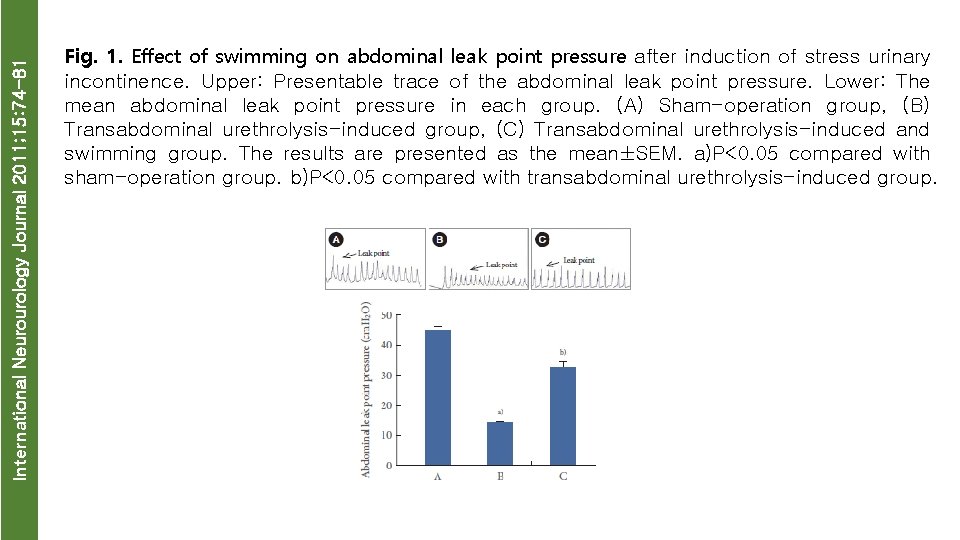International Neurourology Journal 2011; 15: 74 -81 Fig. 1. Effect of swimming on abdominal