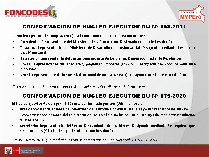 CONFORMACIÓN DE NUCLEO EJECUTOR DU Nº 058 -2011 El Núcleo Ejecutor de Compras (NEC)