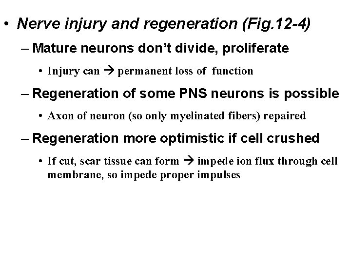  • Nerve injury and regeneration (Fig. 12 -4) – Mature neurons don’t divide,