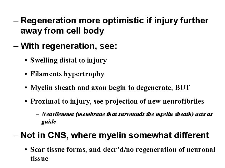 – Regeneration more optimistic if injury further away from cell body – With regeneration,