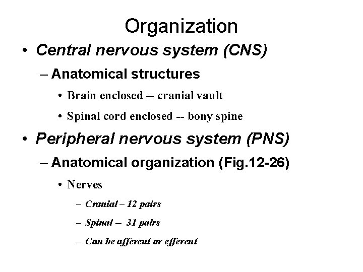 Organization • Central nervous system (CNS) – Anatomical structures • Brain enclosed -- cranial