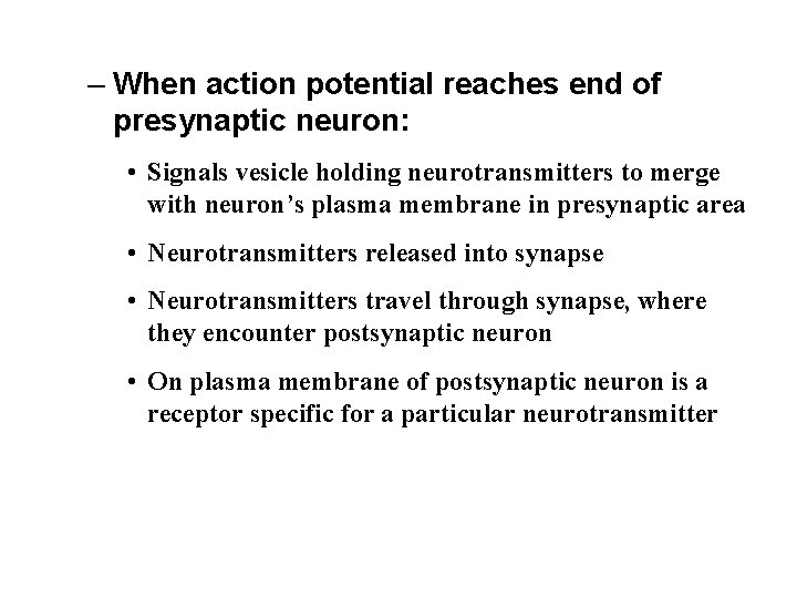 – When action potential reaches end of presynaptic neuron: • Signals vesicle holding neurotransmitters