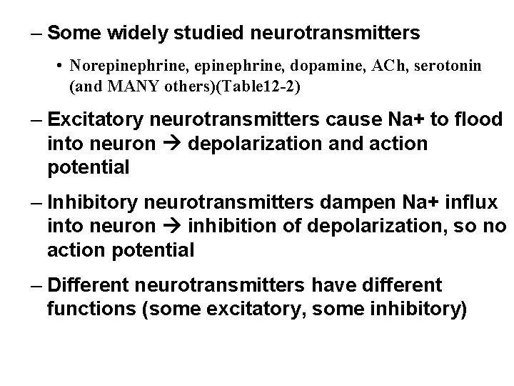 – Some widely studied neurotransmitters • Norepinephrine, dopamine, ACh, serotonin (and MANY others)(Table 12