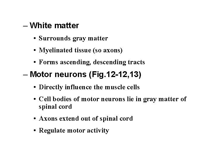 – White matter • Surrounds gray matter • Myelinated tissue (so axons) • Forms