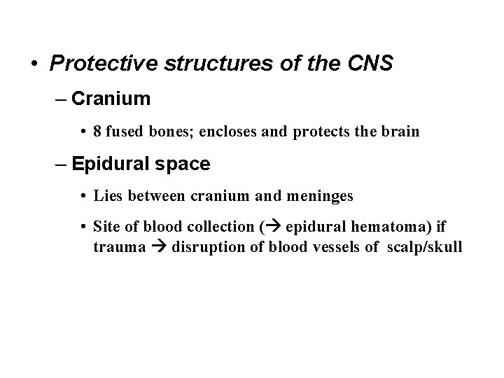  • Protective structures of the CNS – Cranium • 8 fused bones; encloses