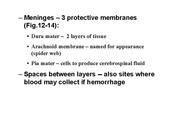 – Meninges – 3 protective membranes (Fig. 12 -14): • Dura mater – 2
