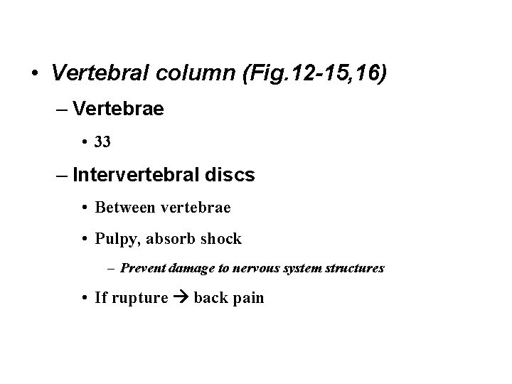  • Vertebral column (Fig. 12 -15, 16) – Vertebrae • 33 – Intervertebral