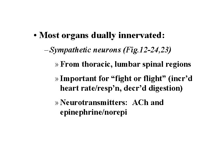  • Most organs dually innervated: – Sympathetic neurons (Fig. 12 -24, 23) »