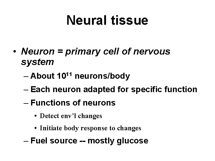 Neural tissue • Neuron = primary cell of nervous system – About 1011 neurons/body